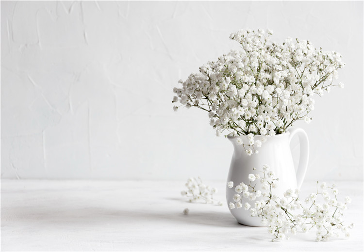 我不是饥饿和讨厌的句子