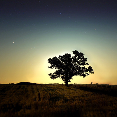 15.我希望我能拥有一个普遍的剪刀，在婚姻中削减更糟，只有一个美好的过去和未来。生活已经伤痕累累，然后接管伤口然后取下它，它只会更加痛苦。