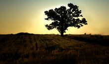 婚姻失败的心烦句子