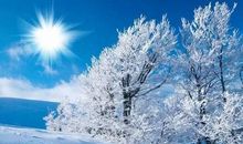 唯美心烦的句子