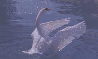 谈论坠入爱河和无聊