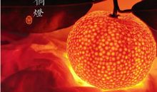 抖音上超火的小橘灯配图文案