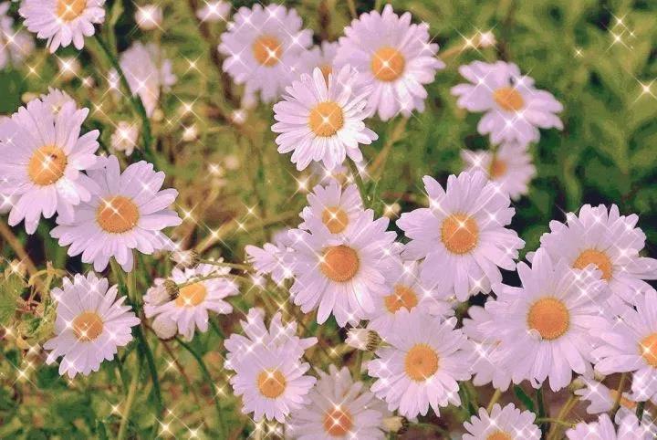 30，你是一个你不知道的烟花，我正在看世界。