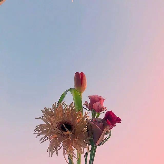 可爱和温柔的短句