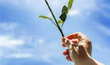 甜美正能量的微信签名