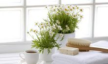 把泉水比喻友情的句子