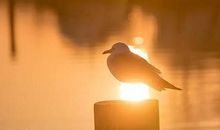 下雨心烦的句子说说