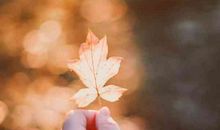 妙明奇妙心烦的句子