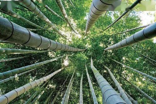 不舒服和不安的句子