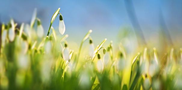 因为买车而令人不安的句子