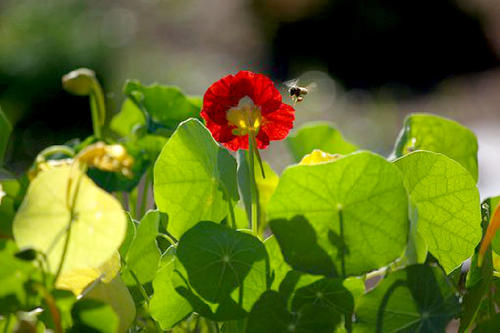 15.人们不能这样做,因为意识形态,经验,感官,一切都不同,就像我说大海很漂亮一样,你说很多人都被淹死了。