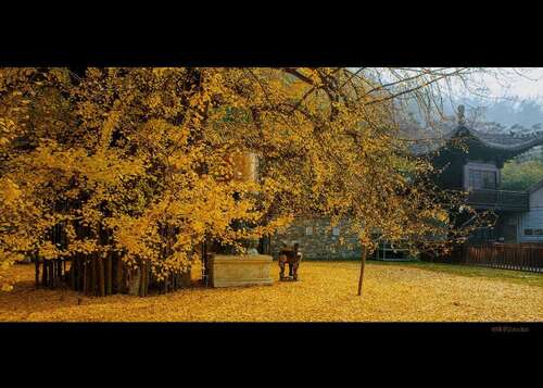 10.这名老人花了白色的眉毛。但面部仍然是一个紫罗兰色*，看起来很好。他穿着一个新的绿色裤子，他还包裹着雪白毛巾。老人蹲在地上，抽烟了烟。