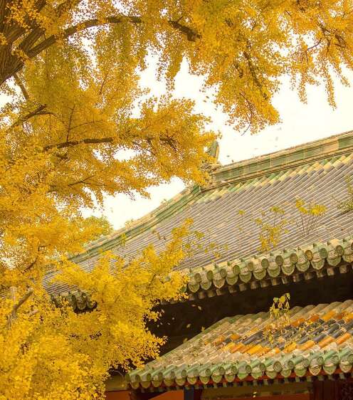 他很高兴，句子1