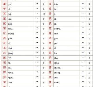男孩净名的两个字