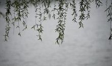 思念女朋友的诗句