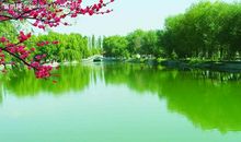 赞美男女之间友情的句子