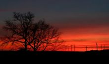 关于友情不坚固的句子