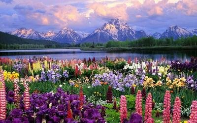 悲伤的句子是一个友好的句子2