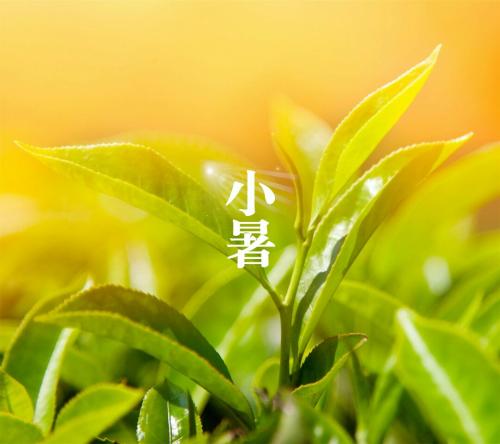 小夏季问候客户SMS 2