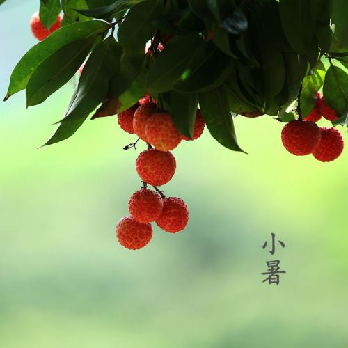 小夏季问候客户短信