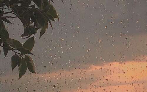 按下心脏疲倦的句子1