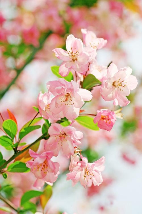 如何迎接别人的短信