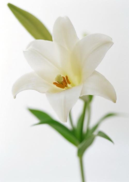 如何给别人短信1