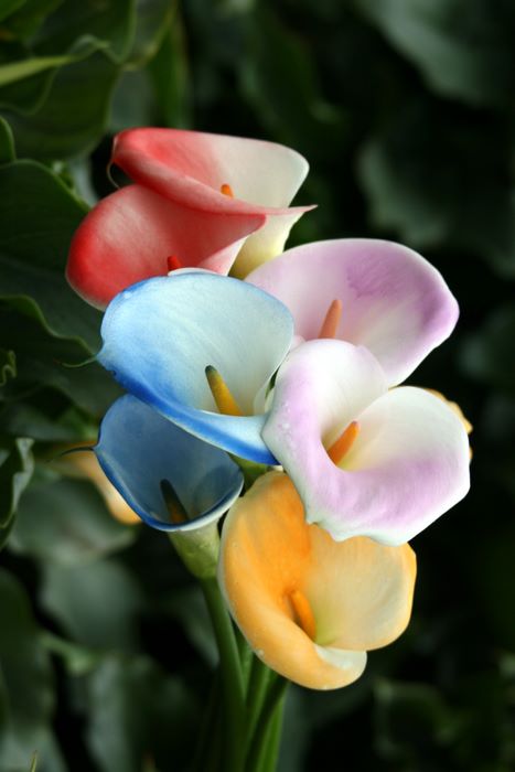 如何给别人短信2