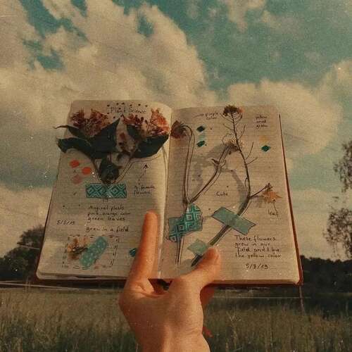 20,每个冬季的时期,所有的春天花。