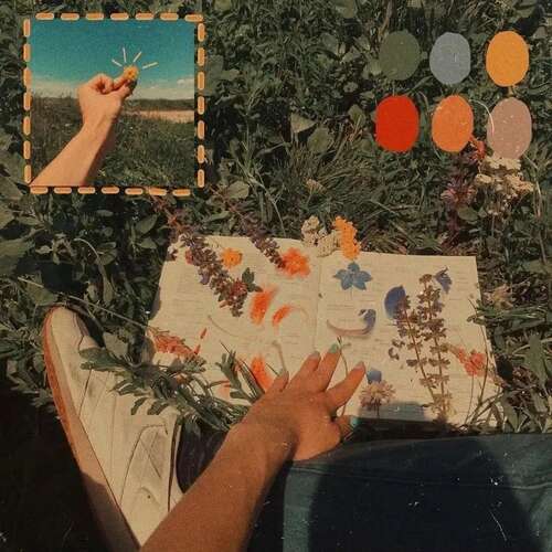 新年的旅行的心情会谈