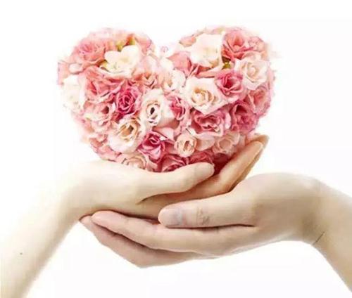 女性的健康短信问候