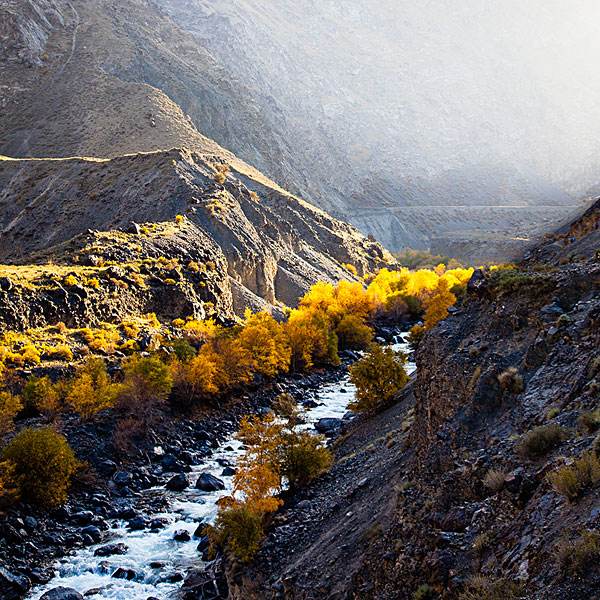 15，今天感冒，别担心，还记得！