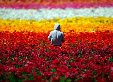 15.当我有时间我以为我发现了我想要的幸福,但是当我没有保留它时,我发现我一直是我的愿望。