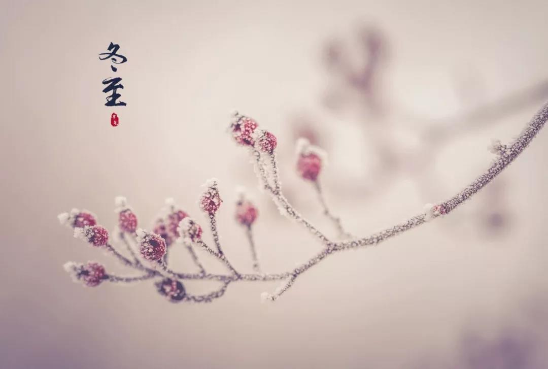 冬至朋友的简单句子