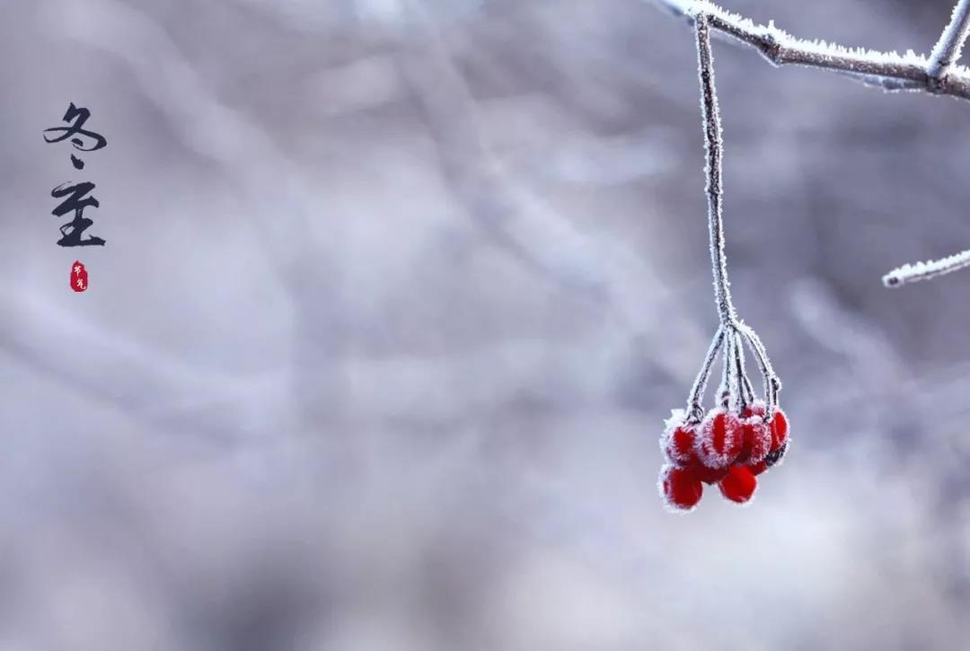 一个简单的冬季句子