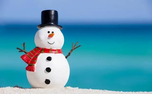 30.如果你不能来这个冬天，那么我会买一件小连衣裙，把手放入袖子里。