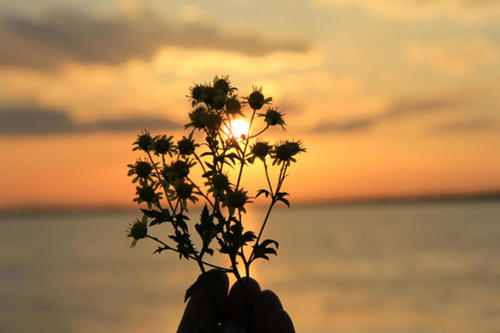 房地产中介问候短信