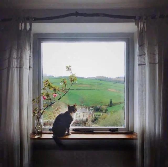 悲伤的句子1单独