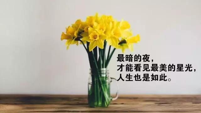 生命感伤的心脏鸡汤句
