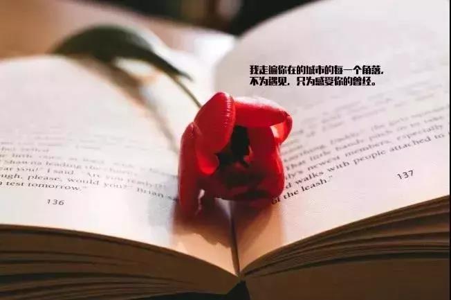 31.当你误解我时，我想在我心中向你解释，但我觉得你像这样对我的看法，我突然觉得我不解释。