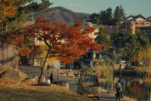 20,╰°闪烁看李白