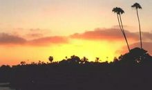 抖音流行短句子