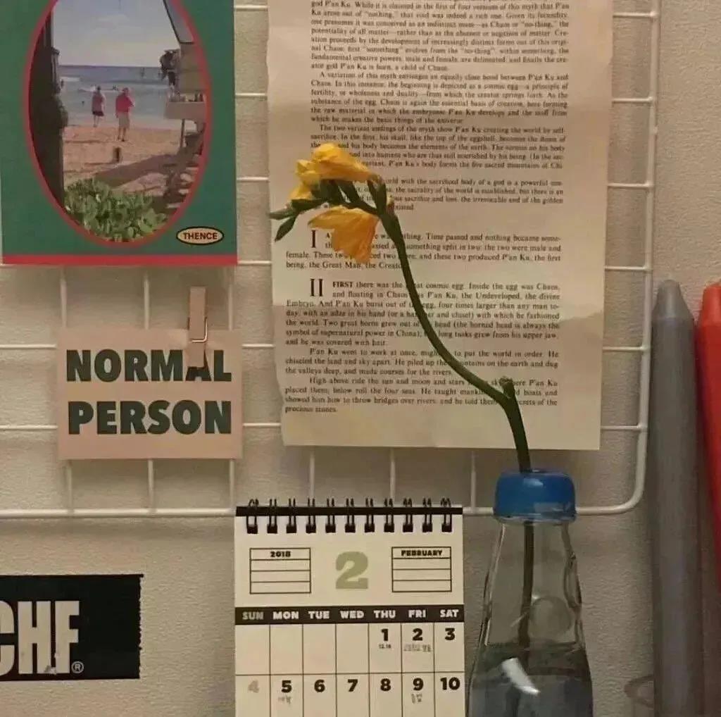 20，你了解更多关于它的信息，只是说些什么要求人们。记住：只有你足够强大，你不会被别人践踏。