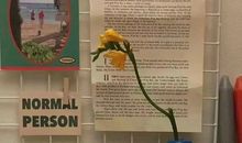 生活感悟的句子正能量