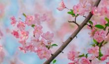 心烦到哭的句子