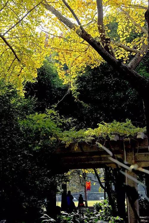 15.我们戴沟面膜,等待面具但发现。我们的脸与面具相同。