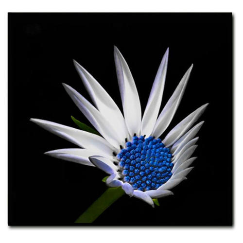 关于难忘句子1的描述