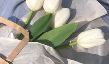 特别讽刺的现实性文案