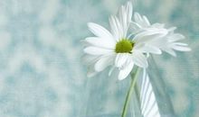 感悟生活的精辟句子