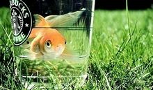 温柔治愈人心的感悟句子